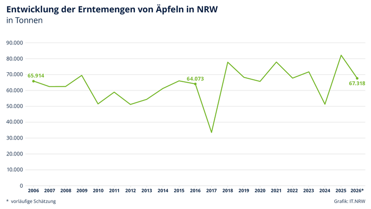 Geschätzte Erntemenge von Äpfeln übertrifft trotz Hitze und Trockenheit leicht den Durchschnitt der Jahre 2016 bis 2025. Grafik: IT.NRW.