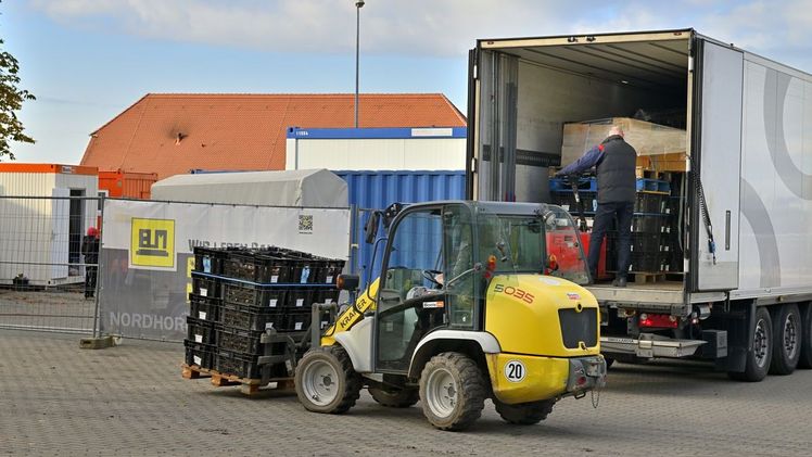 Ankunft der Blumenzwiebeln. Bild: Laga Bad Dürrenberg.
