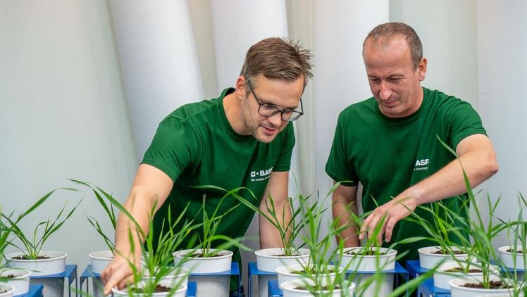 Das BASF Team aus Experten im Labor, auf dem Feld, im Büro und in der Produktion verbindet innovatives Denken mit bodenständigem Handeln. Bild: BASF.