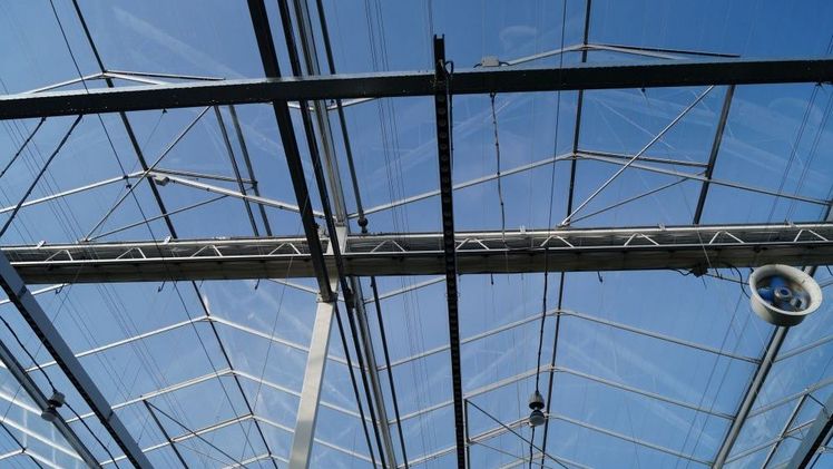 Der Gartenbau muss die aktuelle Energiekrise meistern. Bild: GABOT.