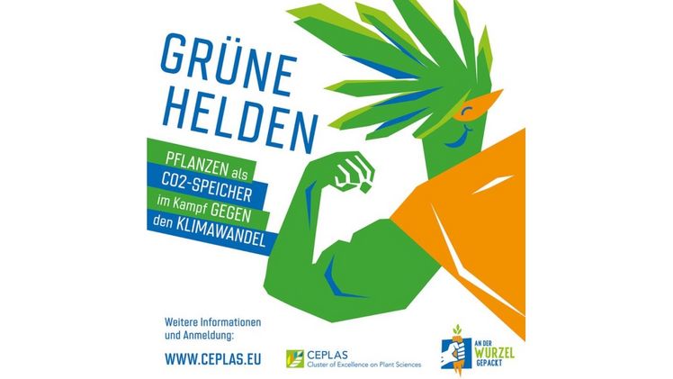 Am 7. September veranstaltet der Exzellenzcluster CEPLAS an der HHU einen Diskussionsabend zur Rolle von Pflanzen im Kampf gegen den Klimawandel. Bild: © CEPLAS.
