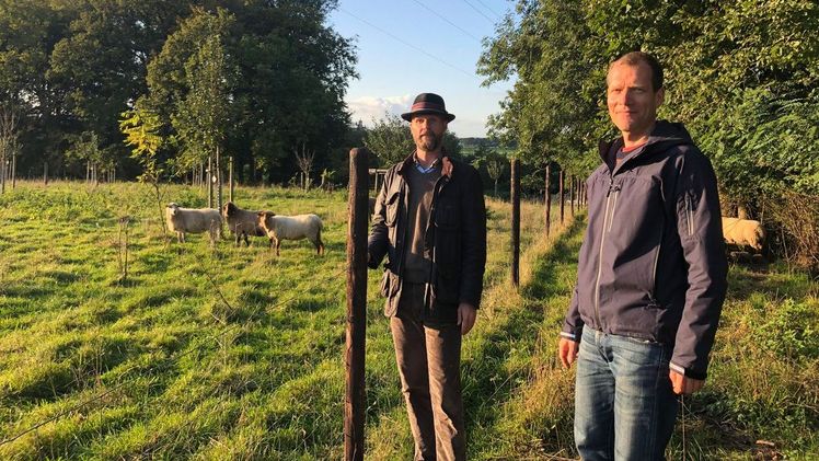 Professoren Jens Gebauer (links) und Dietrich Darr von der Hochschule Rhein-Waal begutachten eine neu angelegte Streuobstwiese in Kleve. Bild: Hochschule Rhein-Waal.