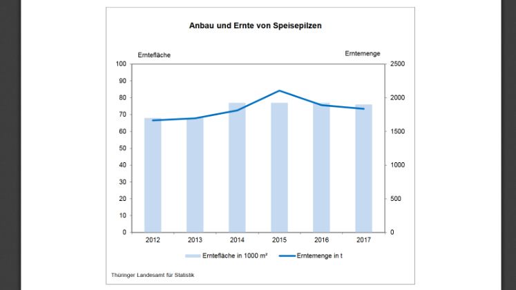 Anbau und Ernte von Speisepilzen. Bild: Thüringer Landesamt für Statistik.