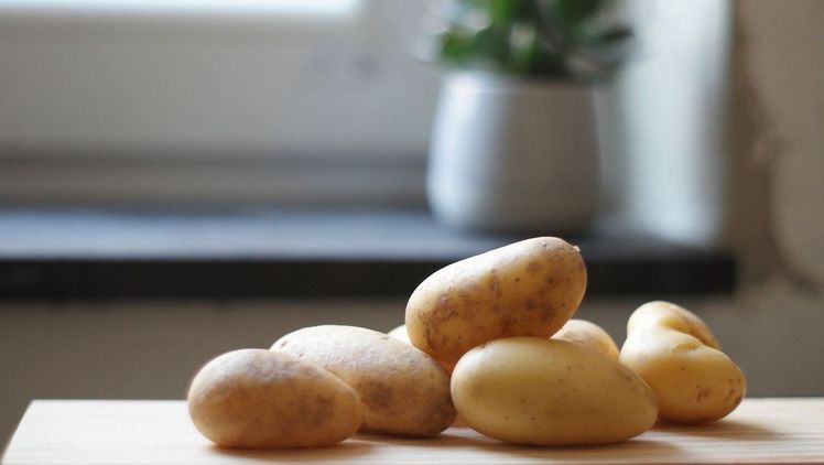 19. August  ist Tag der Kartoffel. Bild: KMG.