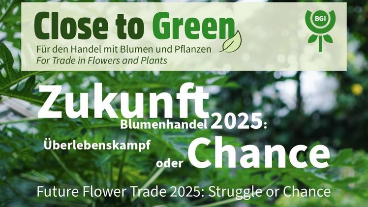 Das Magazin "Close to Green". 