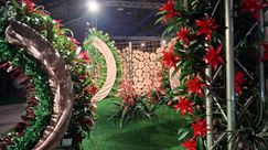 Impressionen von den Genter Floraliën. Bild: GABOT.
