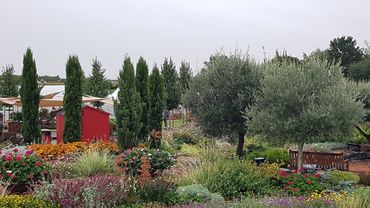 Impressionen aus dem Schaugarten. Bild: GABOT.
