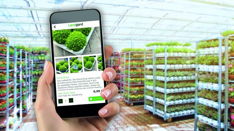 Landgard hat mit „Landgard – Die Fachhandels-App“ einen neuen Service für die Kunden des Fachhandels für Blumen und Pflanzen veröffentlicht. Bild: Landgard. 