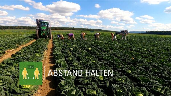 Bild aus dem Videoclip: Hygienemaßnahmen für den Einsatz von Saisonarbeitskraften. Bild: StMELF. Bild aus dem Videoclip: Hygienemaßnahmen für den Einsatz von Saisonarbeitskraften. Bild: StMELF.
