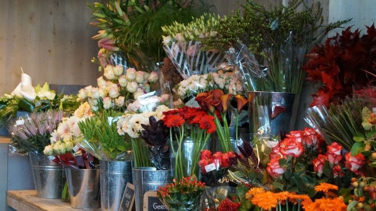 Seit Ende 2017 laufen in Bayern intensive Bestrebungen den Verband und seine Organe den aktuellen Erfordernissen anzupassen. Bild: GABOT.