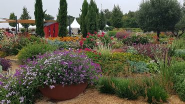 Impressionen aus dem Schaugarten. Bild: GABOT.