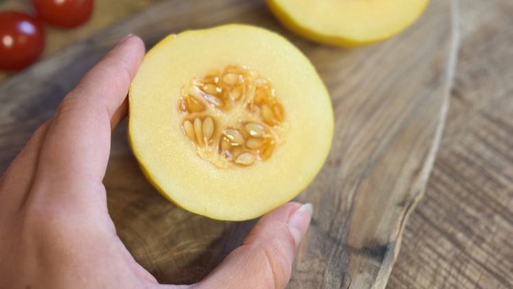 Mini Melone Honey Drops Dara F1. Bild: Prudac / Greenroad B.V.