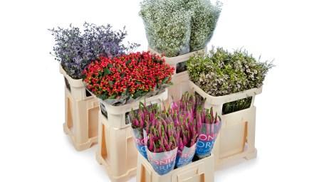 Den neuen effizienten Mehrweg-Blumeneimer  mit dazugehörigem Aufsatzständer. Bild: RoyalFlora Holland.