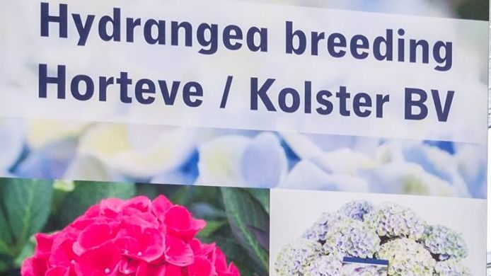 Horteve Breeding und Kolster BV bündeln ihre Kräfte. Bild: Kalter BV/facebook. 