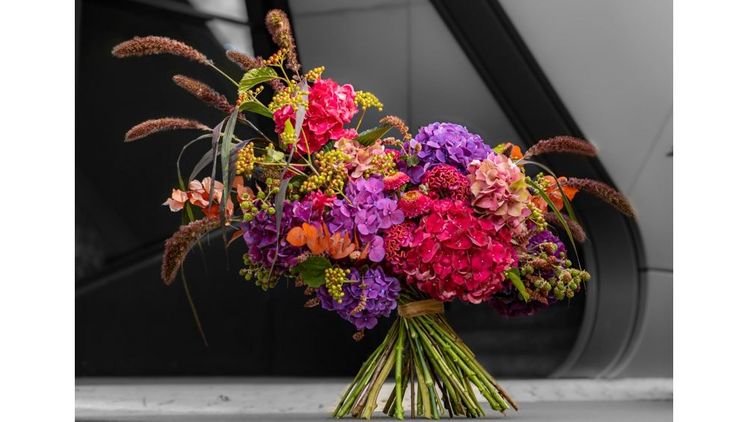 Schnitthortensien in herbstlichem Rot. Foto: hydrangeaworld.com.