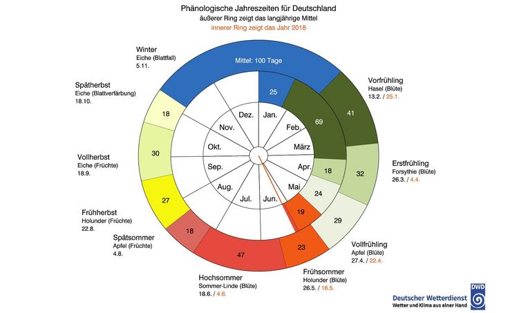 Die Phänologische Uhr 2018. Grafik: DWD.