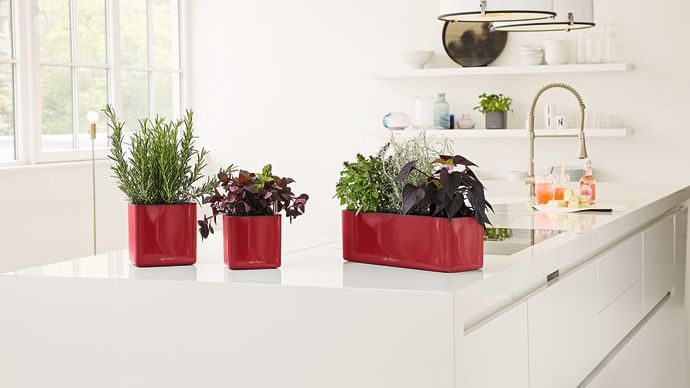 Mit der neuen Glossy-Collection von LECHUZA zieht moderner Glamour in den Wohnbereich ein. Bild: LECHUZA. 