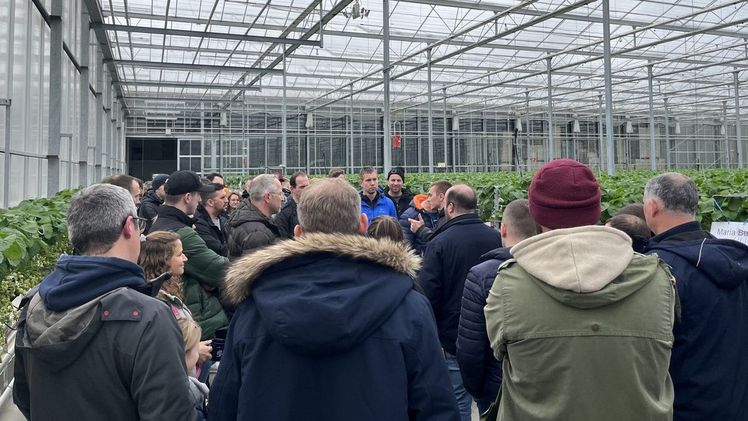 Intensiver Austausch zu Anbaumethoden und Kulturformen beim Treffen der Jungmarktgärtner. Bild: BfG.