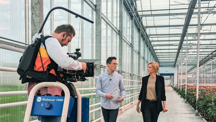 Videodreh bei Gerbera van Megen in Straelen. Bild: Landgard.