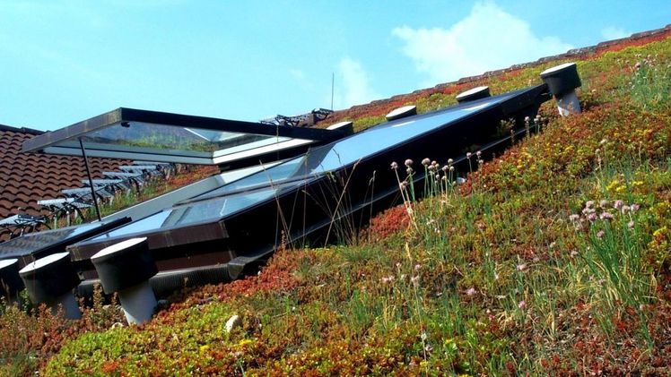 Dach- und Fassadenbegrünung bietet eine Vielzahl an Vorteilen für den Umwelt- und Klimaschutz, weshalb die Nachfrage nach Expert*innen auf diesem Gebiet kontinuierlich steigt. Foto: BGL.