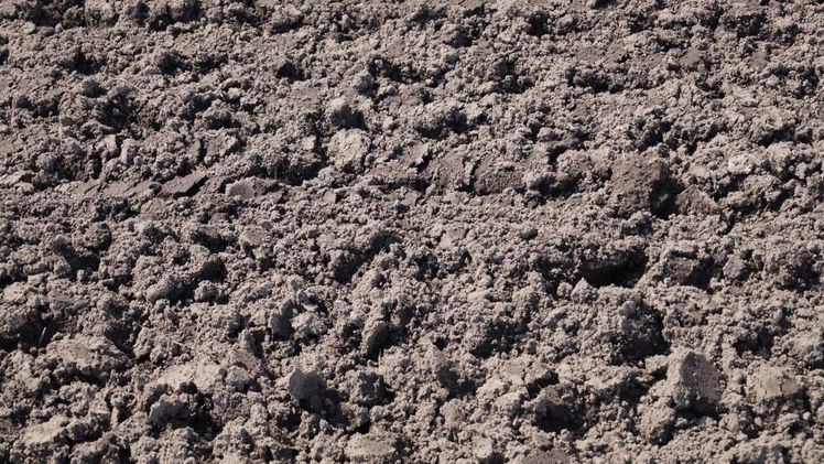 Die Stickstoff- und Phosphorverluste aus der Landwirtschaft müssen in den nächsten Jahren erheblich reduziert werden. Bild: GABOT.