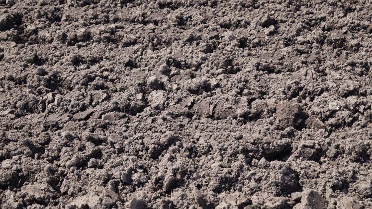 Das Bundeslandwirtschaftsministerium hat am 19. Dezember 2019 ein Diskussionspapier zur Ackerbaustrategie 2035 vorgestellt. Bild: GABOT. Das Bundeslandwirtschaftsministerium hat am 19. Dezember 2019 ein Diskussionspapier zur Ackerbaustrategie 2035 vorgestellt. Bild: GABOT.