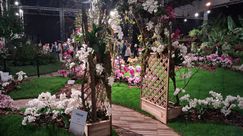 Impressionen von den Genter Floraliën. Bild: GABOT.