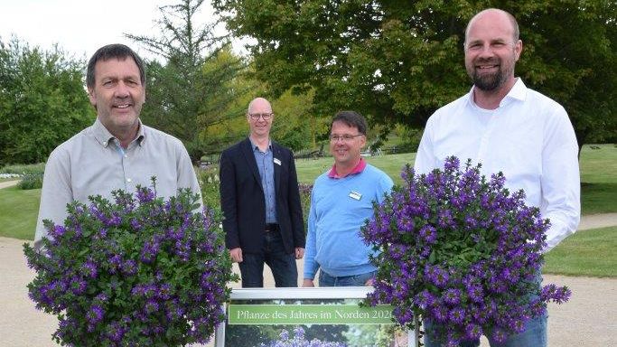 Wilfried Klefer und Dirk Klefer übergeben Christian Wandscher und Björn Ehsen die Pflanze des Jahres im Norden 2020 für den Park der Gärten. Bild: Park der Gärten. 