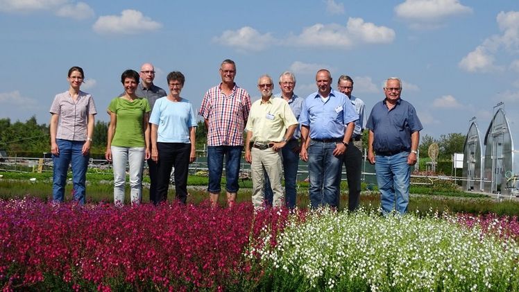Züchtungsausschuss-Sitzung auf dem Feld in Bad Zwischenahn: (v.l.) Dr. Daniela Christ, Prof. Dr. Annette Hohe, Dr. Stefan Ehrentraut, Dr. Elke Ueber, Matthias Küppers, Peter Dettmer, Horst Marohn, Helmuth Hiedl, Kurt Kramer und Heinz Manten. Bild: ZVG/Azerca.