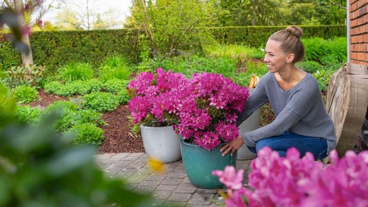 Frische Akzente mit Grazeasy®. Bild: Grazeasy®.