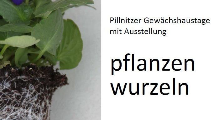 Die Pillnitzer Lehr- und Versuchsgewächshäuser öffnen am 2. und 3. März jeweils von 10-17 Uhr ihre Türen für die Öffentlichkeit.