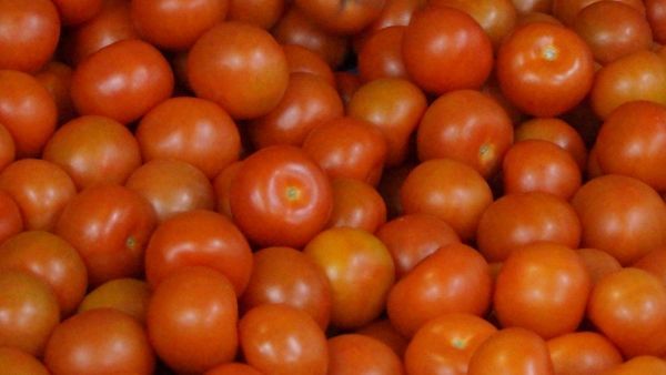 Der Tag der Tomaten ist am 8. August. Bild: Gabot.