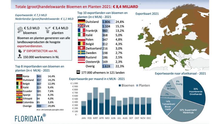 Nicht nur die niederländischen Parteien im Zierpflanzensektor sind von den Folgen der Energiekrise betroffen. Auch die 177.000 Abnehmer werden die Auswirkungen spüren. Bild: Floridata.