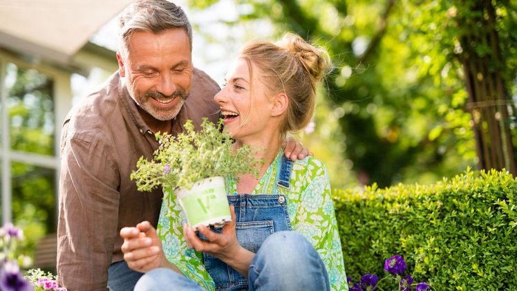 Bio-Kräuter für Zuhause: Aromatisch, nachhaltig und vielseitig nutzbar. Bild: © Volmary GmbH.