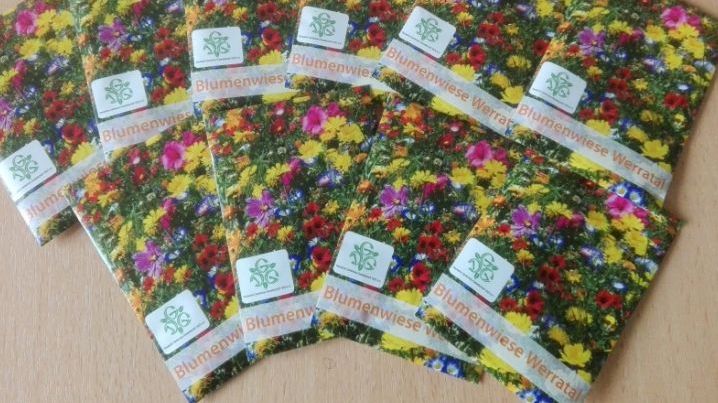 DGG: Mehr Pflanzenvielfalt in Deutschlands Gärten