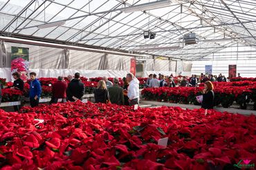 Impressionen von den Open Days bei Lazzeri. Bild: Lazzeri.