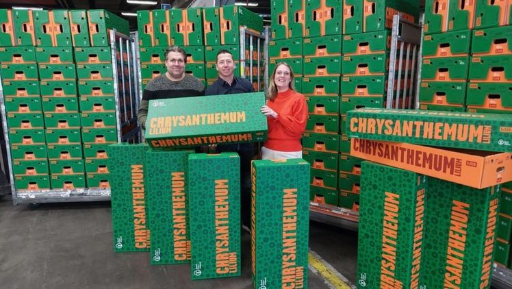 Fc520-Kartons im neuen Design. Bild: Royal FloraHolland.