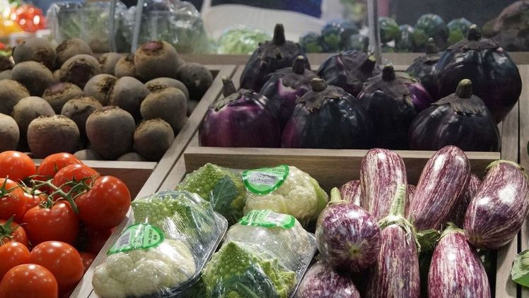 Die neuen gesetzlichen Vermarktungsnormen für frisches Obst und Gemüse stehen am 8. und 9. Oktober im Mittelpunkt eines innovativen Seminar-Formats der Landwirtschaftskammer Niedersachsen. Bild: GABOT. Die neuen gesetzlichen Vermarktungsnormen für frisches Obst und Gemüse stehen am 8. und 9. Oktober im Mittelpunkt eines innovativen Seminar-Formats der Landwirtschaftskammer Niedersachsen. Bild: GABOT.