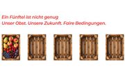 Fünf Obstkisten. Eine ist voll. Vier bleiben leer. Bild: Bundesfachgruppe Obstbau.