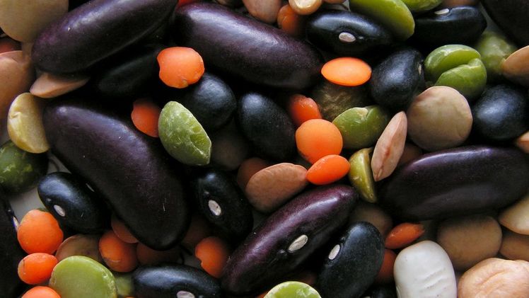 Wissenschaftler wollen den Anbau von Hülsenfrüchten in der EU vorantreiben. Bild: https://commons.wikimedia.org/wiki/User:Bff