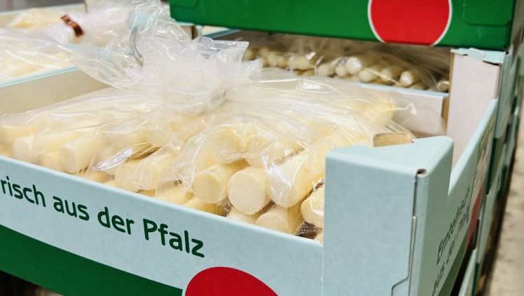 Pfalzmarkt für Obst und Gemüse eG zieht eine gute, erste – jedoch noch vorläufige – Bilanz der diesjährigen Spargelsaison. Bild: Pfalzmarkt eG.