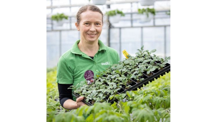 Mit eigener Produktion für Kräuter und Gemüsejungpflanzen setzt pac® auf die Bedürfnisse des Handels und der Endverbraucher. Bild: Elsner pac®.