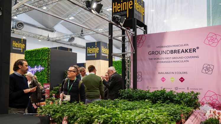 Am Stand der Baumschule Heinje auf der IPM 2026 herrschte reges Interesse. Bild: Heinje.