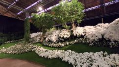Impressionen von den Genter Floraliën. Bild: GABOT.