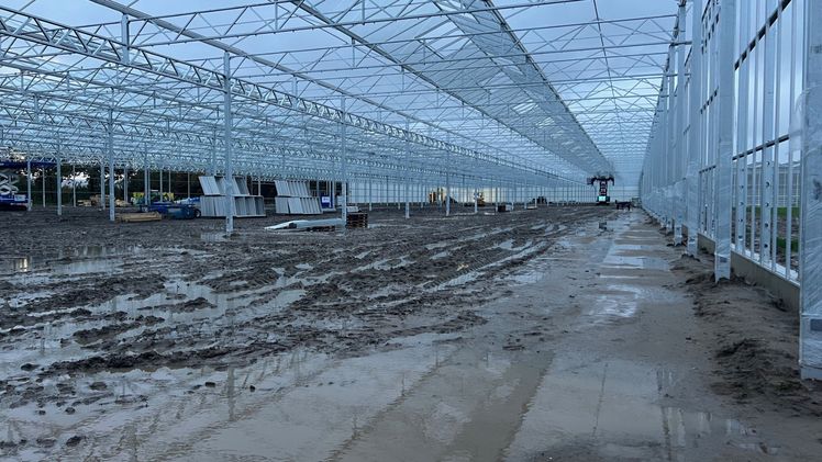 Baustelle der neuen Halle. Bild: Kwekerij Wouters.