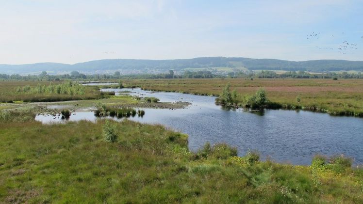 Großes Torfmoor. Bild: NABU, Felix Grützmacher. 