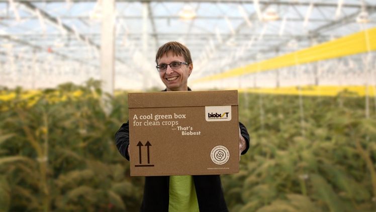 Geert Geboers, Spezialist für Prozessverbesserung im Bereich Verpackung bei Biobest. Bild: Biobest.