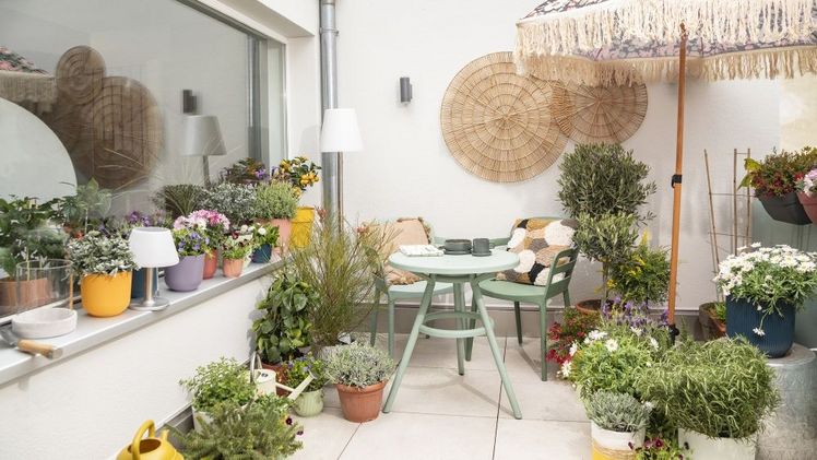 Zimmerpflanzen und Urban Gardening: Österreichs Vorlieben in der Pflanzenwelt. Bild: bellaflora.