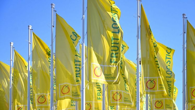 Die FRUIT LOGISTICA in Berlin. Bild: © Messe Berlin GmbH.