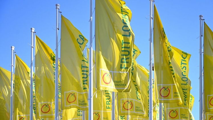Die FRUIT LOGISTICA in Berlin. Bild: © Messe Berlin GmbH.